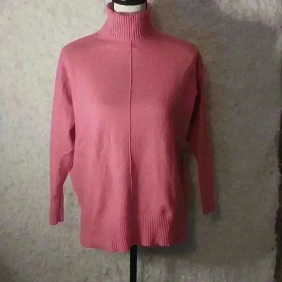 Ann Taylor Seamed Turtleneck Tunic Sweater Size MP - Picture 3 of 8